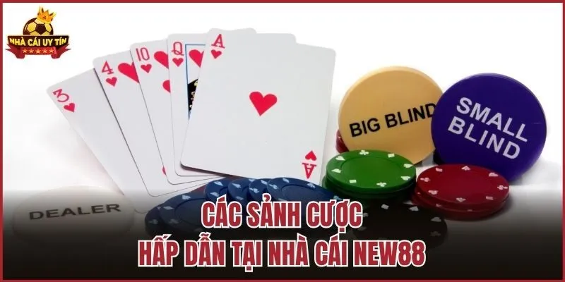 Các sảnh cược hấp dẫn tại nhà cái NEW88