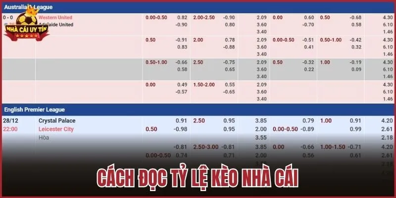 Cách đọc tỷ lệ kèo nhà cái
